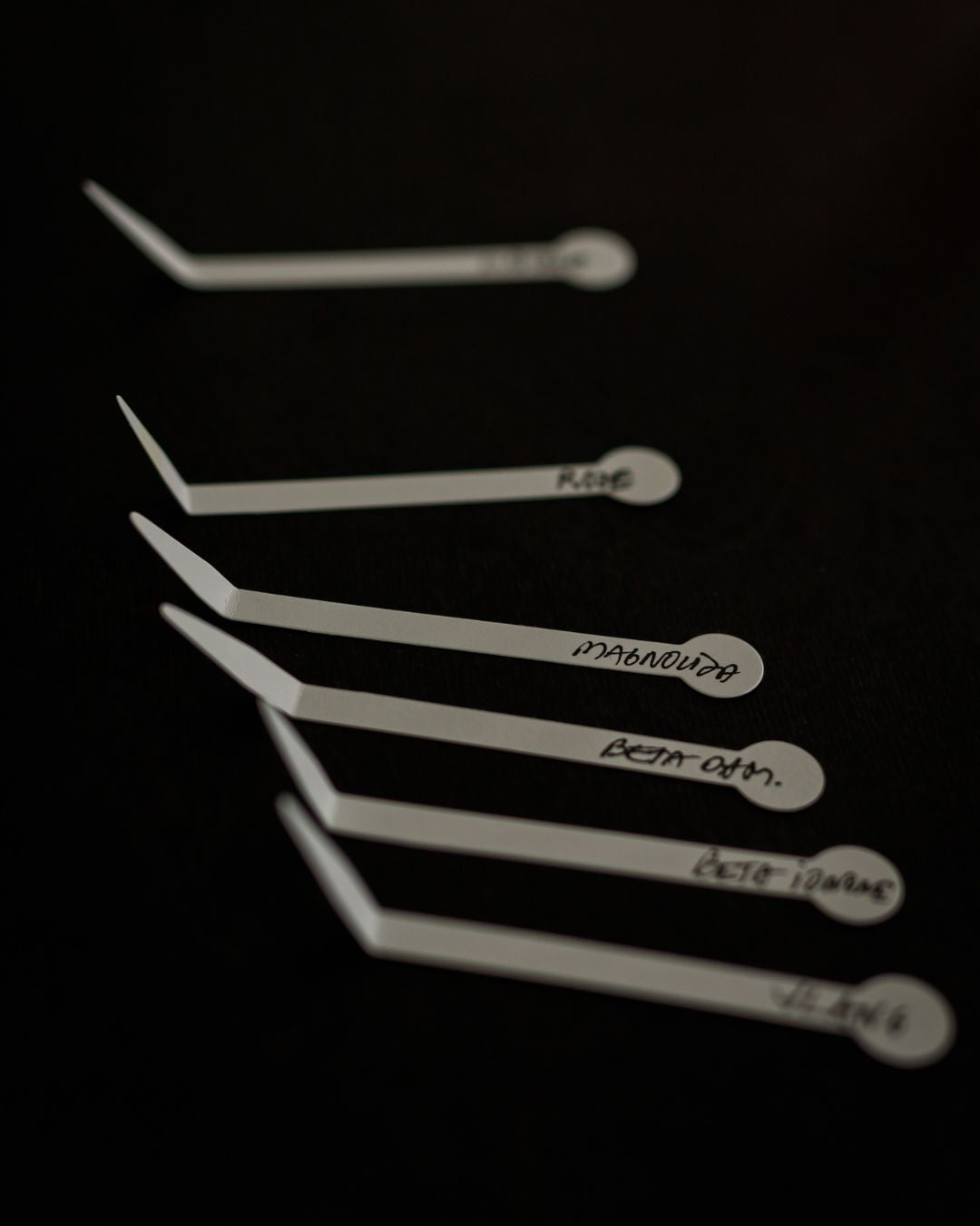 Perfume Workshop for Groups